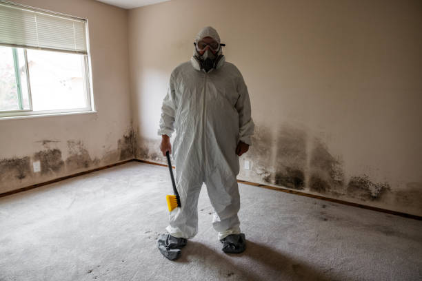 Best Air Quality Testing for Mold Spores  in Orangeville, UT